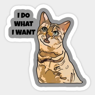 Cat I Do What I Want Sticker